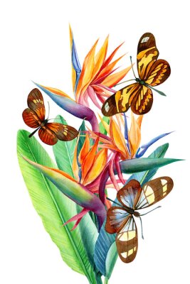 Papier peint  beautiful bouquet of flowers, watercolor, botanical painting, greeting card,  flowers strelitzia, butterfly