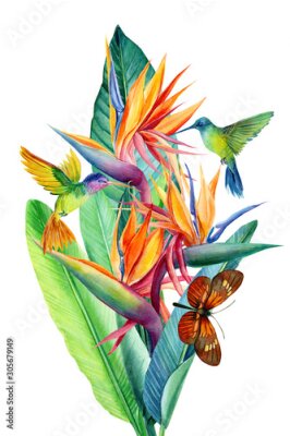 Papier peint  beautiful bouquet of flowers, watercolor, botanical painting, greeting card,  flowers strelitzia, butterfly