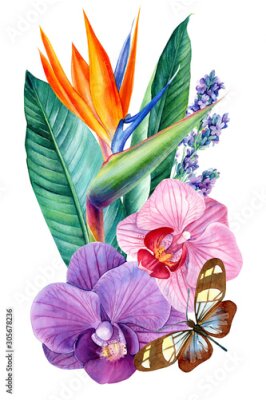 Papier peint  beautiful bouquet of flowers, watercolor, botanical painting, greeting card, strelitzia, orchids