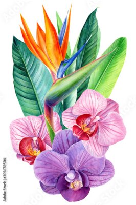 Papier peint  beautiful bouquet of flowers, watercolor, botanical painting, greeting card, strelitzia, orchids