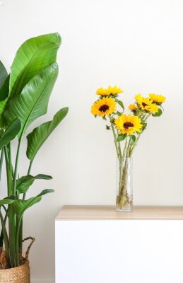 Papier peint  Beautiful bright yellow sunflower (Helianthus) lighting up home interior, in a glass vase, on wooden cabinet besides a Giant White Bird of Paradise Plant (Strelitzia nicolai)