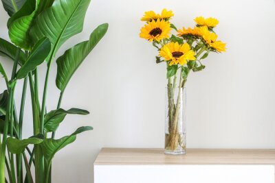 Papier peint  Beautiful bright yellow sunflowers (Helianthus) in a cylindrical glass vase on wooden surface next to a Giant White Bird of Paradise Plant (Strelitzia nicolai) freshening up home interior
