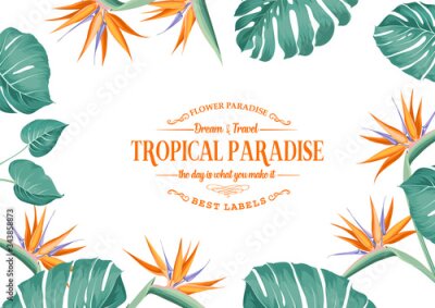 Papier peint  Beautiful card with a wreath of strelitzia tropical flowers and monstera leaves. Tropical flower garland. Blossom flowers for invitation card over white background. Vector illustration.