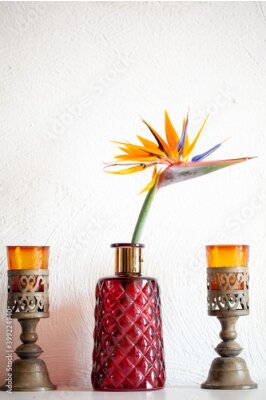 Papier peint  Beautiful colorful , birds of paradise, Strelitzia reginae, flower on white background and a red vase in a cosy interior setup. High quality photo