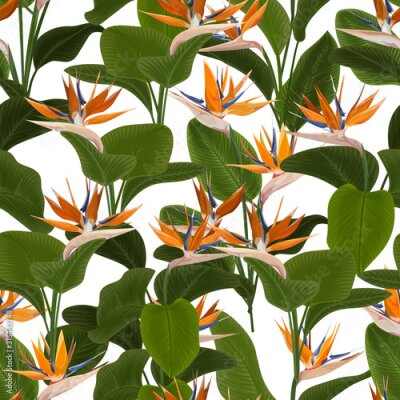 Papier peint  Beautiful colorful seamless pattern with Strelitzia flowers. Vector illustration. EPS 10