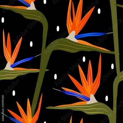 Papier peint  beautiful colorful strelitzia flowers abstract seamless vector pattern illustration on black background
