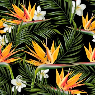 Papier peint  Beautiful digital seamless pattern with tropical leaves, plumeria flowers and strelitzia flowers.