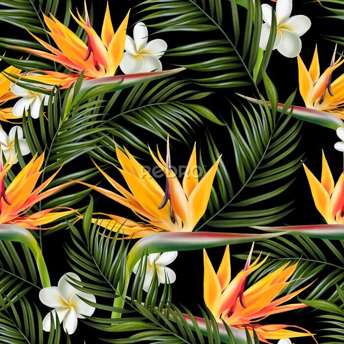 Papier peint  Beautiful digital seamless pattern with tropical leaves, plumeria flowers and strelitzia flowers.