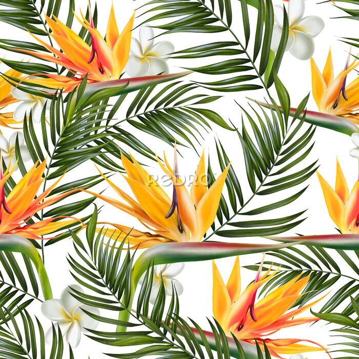 Papier peint  Beautiful digital seamless pattern with tropical leaves, plumeria flowers and strelitzia flowers.