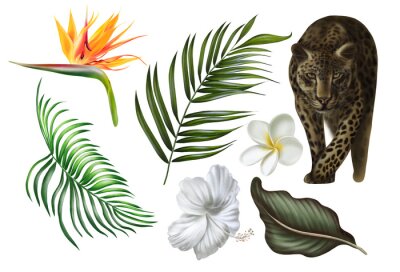 Papier peint  Beautiful digital set with tropical leaves, plumeria flowers and strelitzia flowers, animal leopard. 