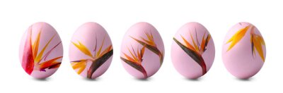 Papier peint  Beautiful Easter eggs with drawn strelitzia flowers isolated on white