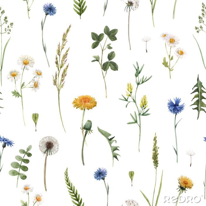 Papier peint  Beautiful floral summer seamless pattern with watercolor hand drawn field wild flowers. Stock illustration.