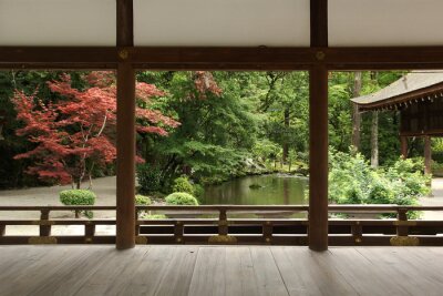 Papier peint  Beautiful japanese garden in Kyoto (Kamigamo shrine)