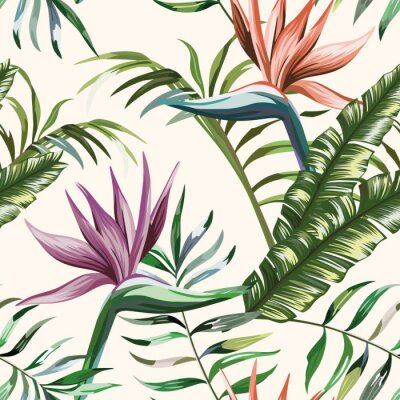 Papier peint  Beautiful multi colored exotic tropical flowers strelitzia and green palm, banana, fern leaves seamless vector pattern on white background. Beach summer trendy illustration.