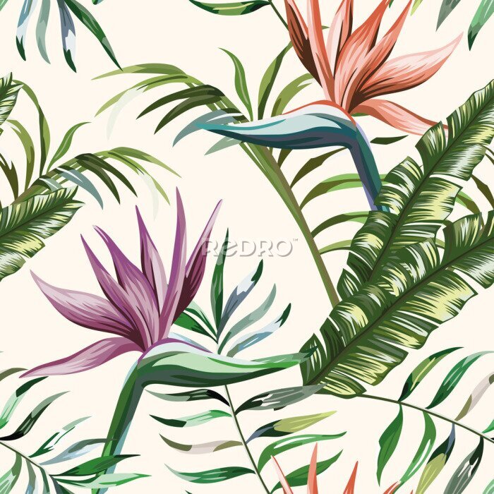 Papier peint  Beautiful multi colored exotic tropical flowers strelitzia and green palm, banana, fern leaves seamless vector pattern on white background. Beach summer trendy illustration.
