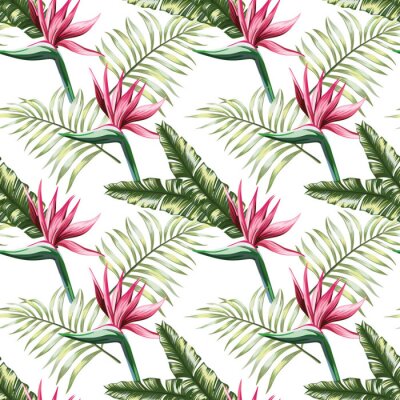 Papier peint  Beautiful multi colored exotic tropical flowers strelitzia and green palm, banana, fern leaves seamless vector repeating pattern on white background. Beach summer trendy illustration.