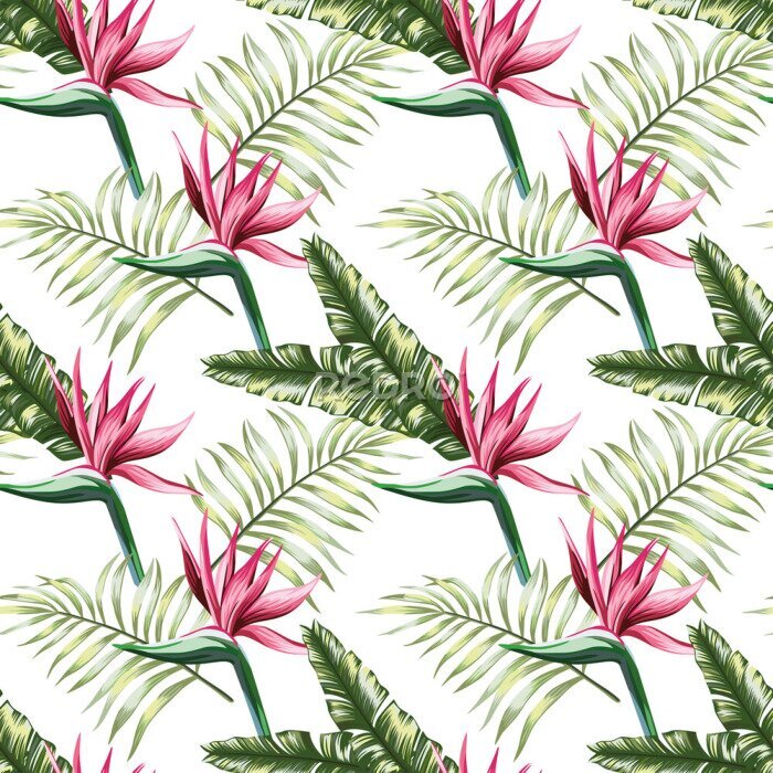 Papier peint  Beautiful multi colored exotic tropical flowers strelitzia and green palm, banana, fern leaves seamless vector repeating pattern on white background. Beach summer trendy illustration.