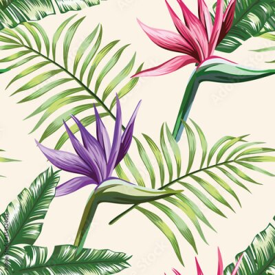 Papier peint  Beautiful multi colored exotic tropical red violet flowers strelitzia and green palm, banana, fern leaves seamless vector pattern on white background. Beach summer trendy illustration.