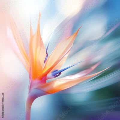 Papier peint  Beautiful orange strelitzia