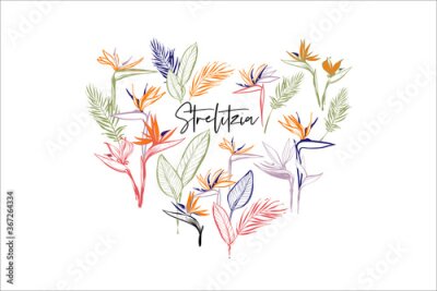 Papier peint  Beautiful strelitzia, tropical flowers, banana palm leaf. Heart t-shirt print composition. Tropic outline floral illustrations. Tropical collection. Watercolor hand drawn line on white background