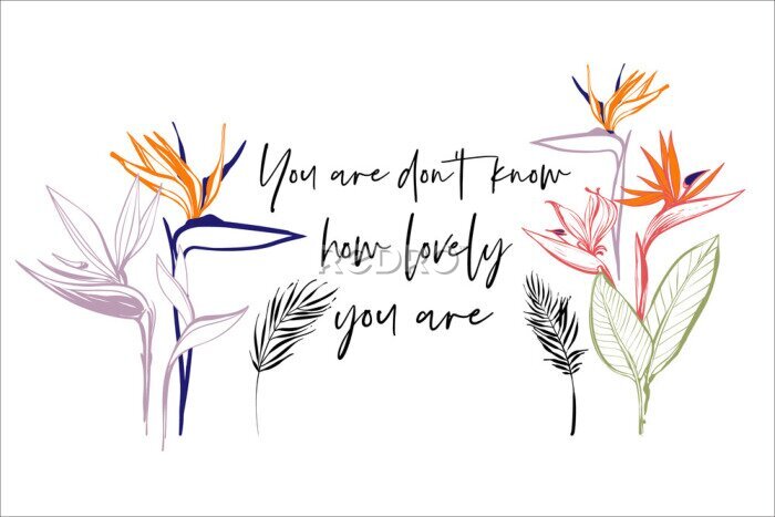 Papier peint  Beautiful strelizia flowers and lovely typography quote text. Outline floral illustrations. Tropical collection. Sketch in watercolor style. Hand drawn line textile print on white background