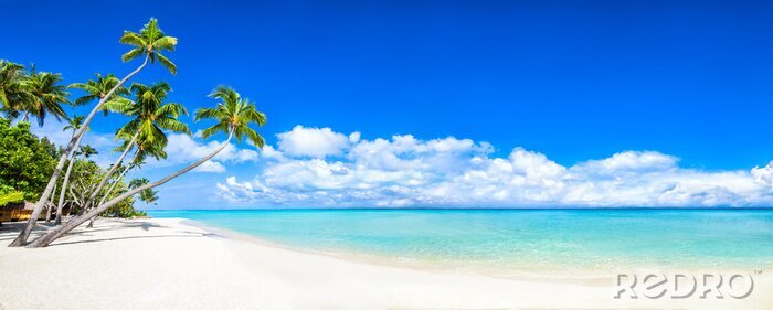 Papier peint  Beautiful tropical island with palm trees and beach panorama as background image