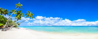 Papier peint  Beautiful tropical island with palm trees and beach panorama as background image