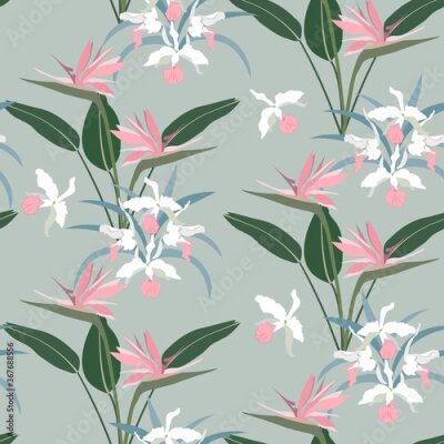 Papier peint  Beautiful tropical orchids and strelitzia on a gray background. Seamless vector illustration.