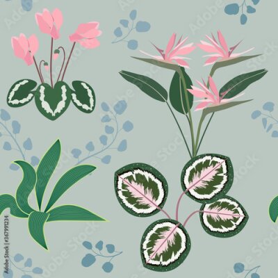 Papier peint  Beautiful tropical strelitzia, cyclamen and leaves on a gray background.