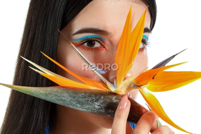 Papier peint  Beautiful young woman with strelitzia flower isolated on white