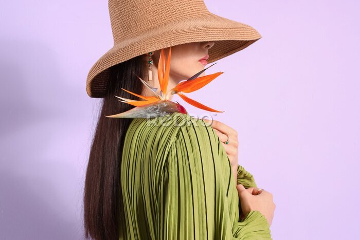 Papier peint  Beautiful young woman with strelitzia flower on color background