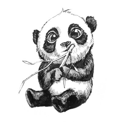 Bébé panda avec du bambou