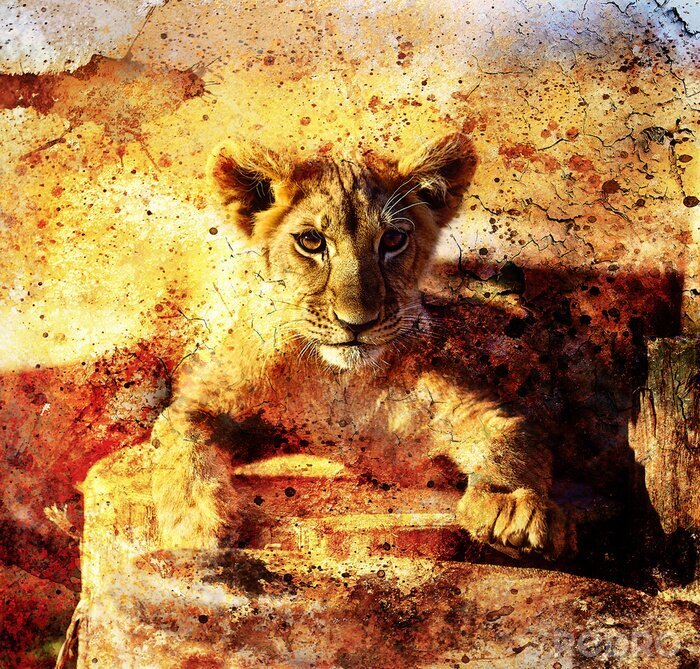 Papier peint  Bébé tigre sur fond craquelé