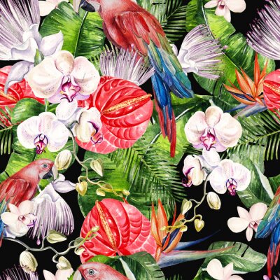 Papier peint  Belle aquarelle transparente, jungle tropicale motif floral de fond avec des feuilles de palmier, fleur de roses, câpres, antharium, strelitzia et perroquets.