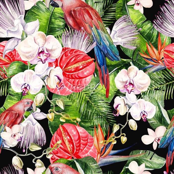 Papier peint  Belle aquarelle transparente, jungle tropicale motif floral de fond avec des feuilles de palmier, fleur de roses, câpres, antharium, strelitzia et perroquets.