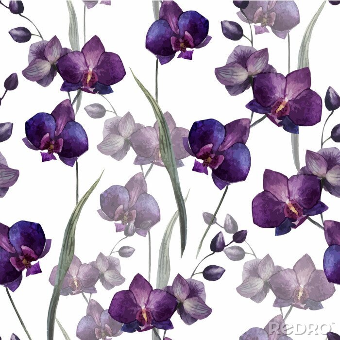 Papier peint  Belle orchidée Flower4