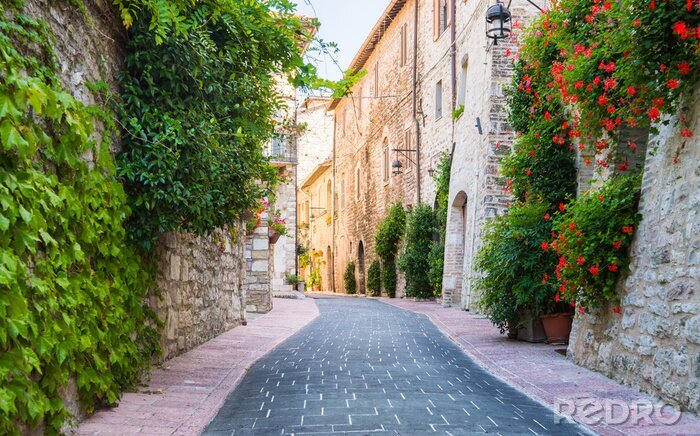 Papier peint  Belle rue et végétation