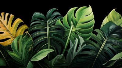 Papier peint  Big Green Leaves of Monstera, Banana, and Strelitzia
