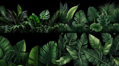 Papier peint  Big Green Leaves of Monstera, Banana, and Strelitzia
