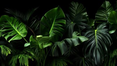Papier peint  Big Green Leaves of Monstera, Banana, and Strelitzia
