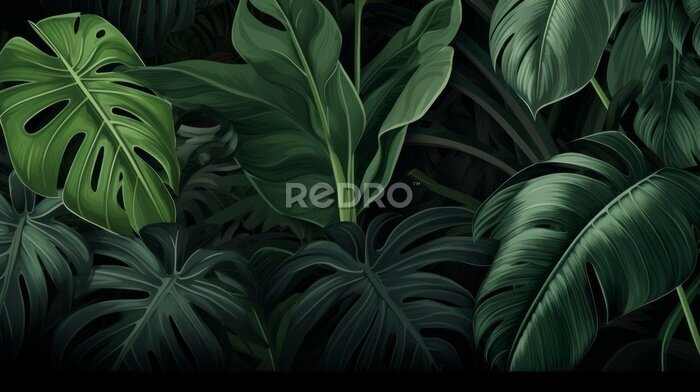 Papier peint  Big Green Leaves of Monstera, Banana, and Strelitzia
