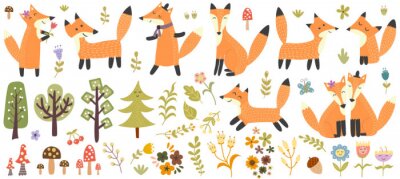 Big set of cute foxes, trees and plants. Forest elements collection