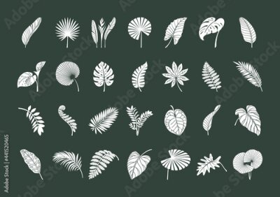 Papier peint  Big Set of exotic tropical leaves.
