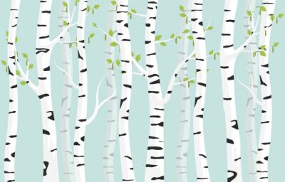 Papier peint  Birch forest background. Spring birch green young leaves spotty bark on tree black vector spots white trunk, romantic seasonal park april grove background revived spring.