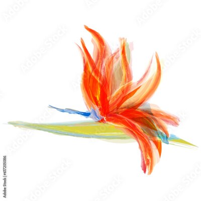 Papier peint  Bird of paradise expressive art, artistic creative vector illustration of tropical exotic flower bird of paradise, Strelitzia reginae, tropical summer floral watercolor effect on white background