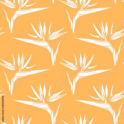 Papier peint  Bird of paradise flower head, line art tropical strelitzia floral seamless pattern black and white and orange color. Vector background for prints, fabric, wallpapers, wrapping paper, poster, card