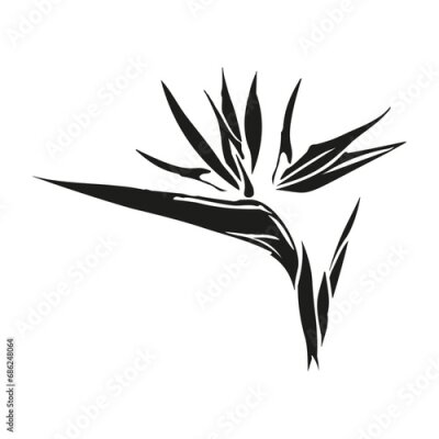 Papier peint  Bird of paradise flower head tropical strelitzia with leaves silhouette for design of card or invitation, scrapbook. Vector hand drawn illustration,isolate on white background.