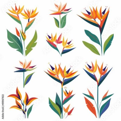 Papier peint  Bird of Paradise Flower Icon Set, Garden Strelitzia Flat Design, Abstract Strelitzia Reginae Symbol