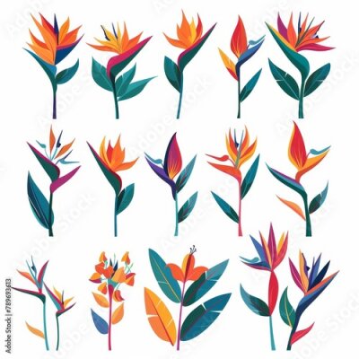 Papier peint  Bird of Paradise Flower Icon Set, Garden Strelitzia Flat Design, Abstract Strelitzia Reginae Symbol
