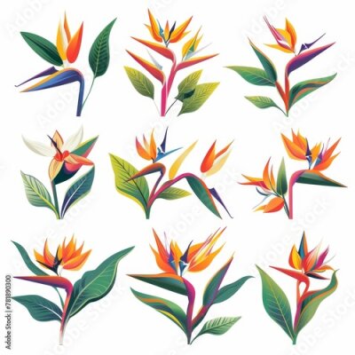 Papier peint  Bird of Paradise Flower Icon Set, Garden Strelitzia Flat Design, Abstract Strelitzia Reginae Symbol